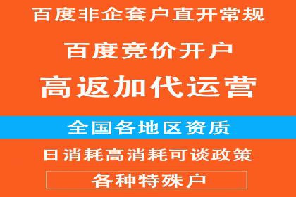 打造品牌影响力：百度竞价代理实战案例精选